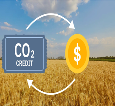 Thermal Conversion – Pyrolysis