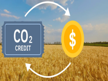 Thermal Conversion – Pyrolysis